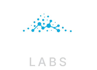 Darangshi Labs Logo
